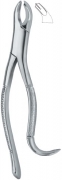 American Tooth Extracting Forceps