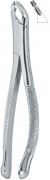 American Tooth Extracting Forceps
