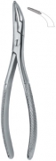American Tooth Extracting Forceps