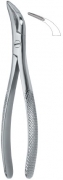 American Tooth Extracting Forceps