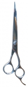 Barber Scissors