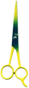 Barber Shears