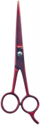 Barber Shears