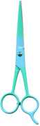Barber Shears