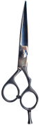 Barber Shears