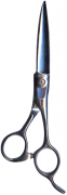 Barber Shears