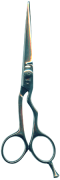 Barber Shears