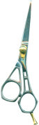 Barber Shears
