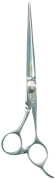 Barber Shears