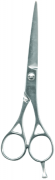 Barber Shears