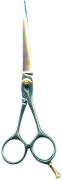 Barber Shears