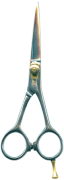 Barber Shears
