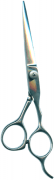 Barber Shears