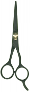Barber Shears