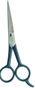 Barber Shears