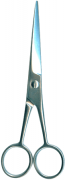 Barber Shears