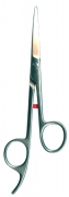 Barber Shears