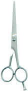 Barber Shears