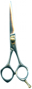 Barber Shears