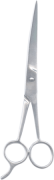 Barber Shears