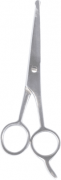 Barber Shears