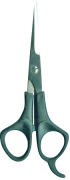 Barber Shears