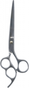 Barber Shears