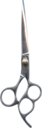 Barber Shears