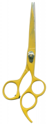 Barber Shears