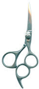 Barber Shears