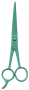 Barber Shears