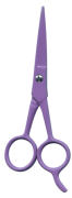 Barber Shears