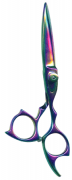 Barber Shears