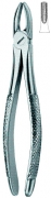 English Dental Extracting Forceps