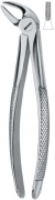 English Dental Extracting Forceps