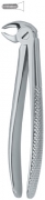 English Dental Extracting Forceps
