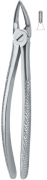 English Dental Extracting Forceps