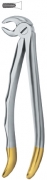 English Dental Extracting Forceps