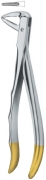 English Dental Extracting Forceps