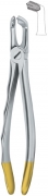 English Dental Extracting Forceps