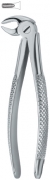 English Dental Extracting Forceps