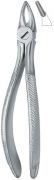 English Dental Extracting Forceps