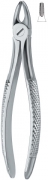 English Dental Extracting Forceps