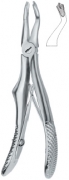 English Dental Extracting Forceps