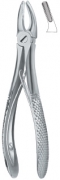 English Dental Extracting Forceps