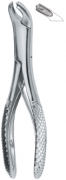 English Dental Extracting Forceps