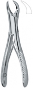 English Dental Extracting Forceps