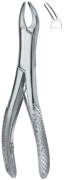 English Dental Extracting Forceps