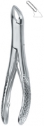 English Dental Extracting Forceps