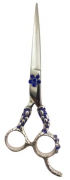 Fancy Barber Scissors